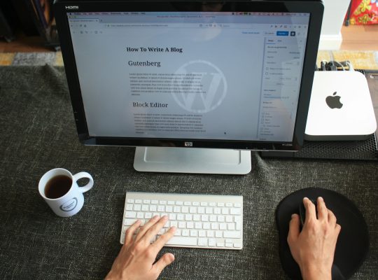 WordPress Introduction: A Beginner’s Starting Guide